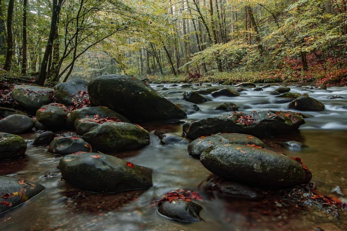 Romantic Mtn Cabin Hot Tub & Jacuzzi Views Sevierville Buitenkant foto